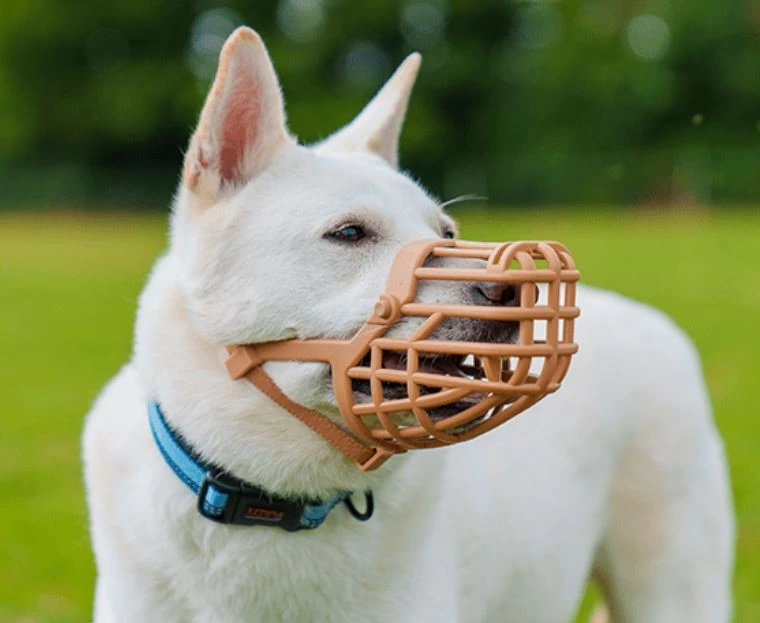 Muselière pour chien Baskerville, panier plastique