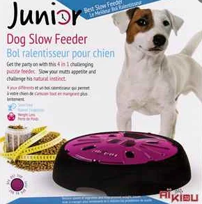 Junior Akiou interactive bowl for dogs - online pet store pets-online.ca