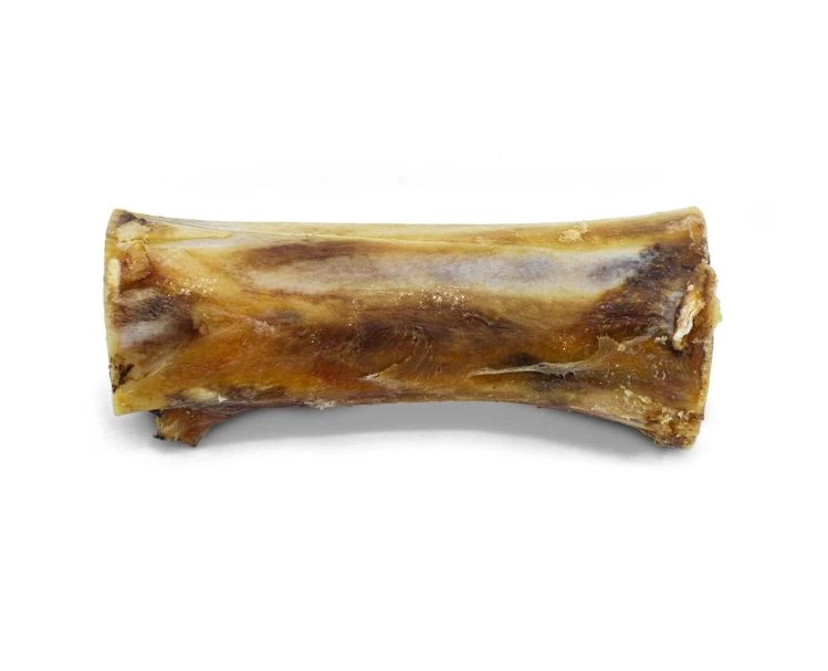 Fémur de boeuf, gâterie pour chien 5-8"