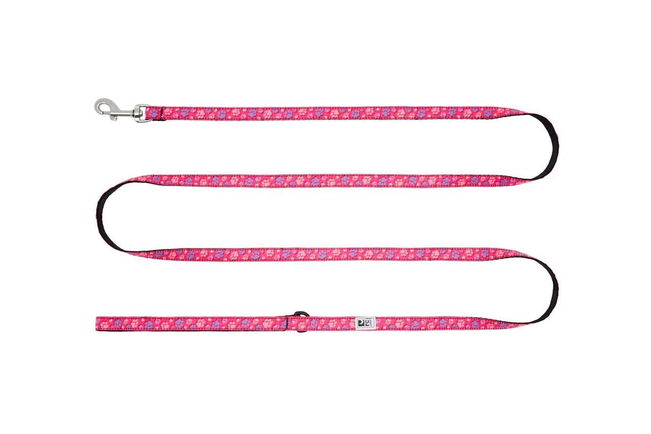 Laisse pour chien, modèle pattes roses, RC Pets