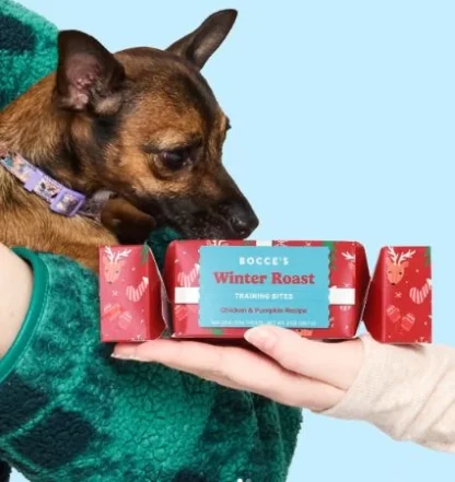 gaterie-pour-chien-de-noel-bocces-training-bites