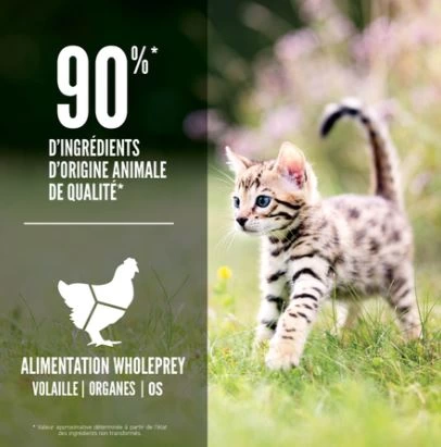 Nourriture pour chaton, Origen, 1.8 kg