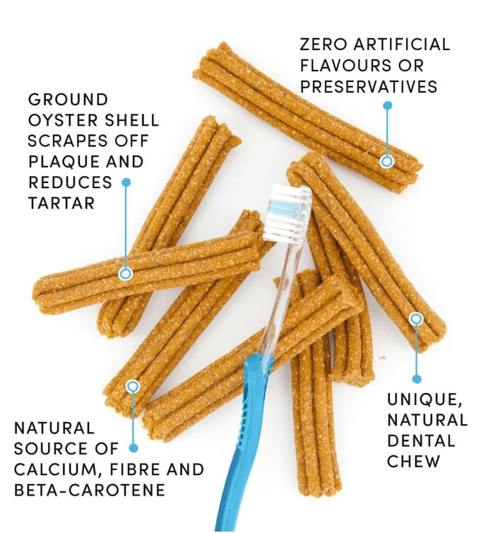 Gâterie dentaire pour chien, Crumps naturals, épices à la citrouille