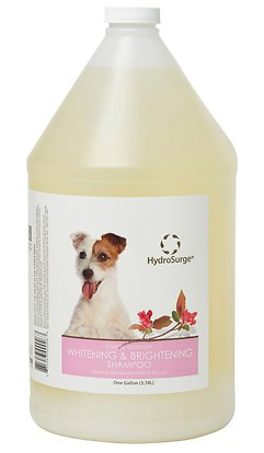 Hydrosurge hot sale dog shampoo