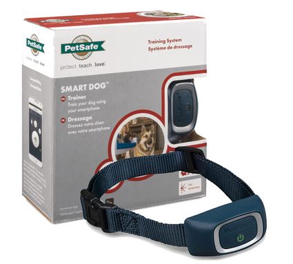 Dog collar training outlet system