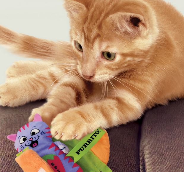 Kong Kong Pull-A-Partz Purrito Cat Toy